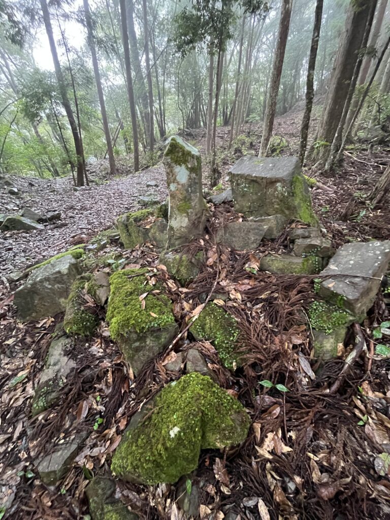 大日山周遊ルート１